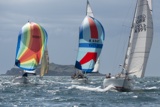 hot toddy 3199y saracen gbr626t meka ii gbr4399 whyw18 mon gjmc 7539w